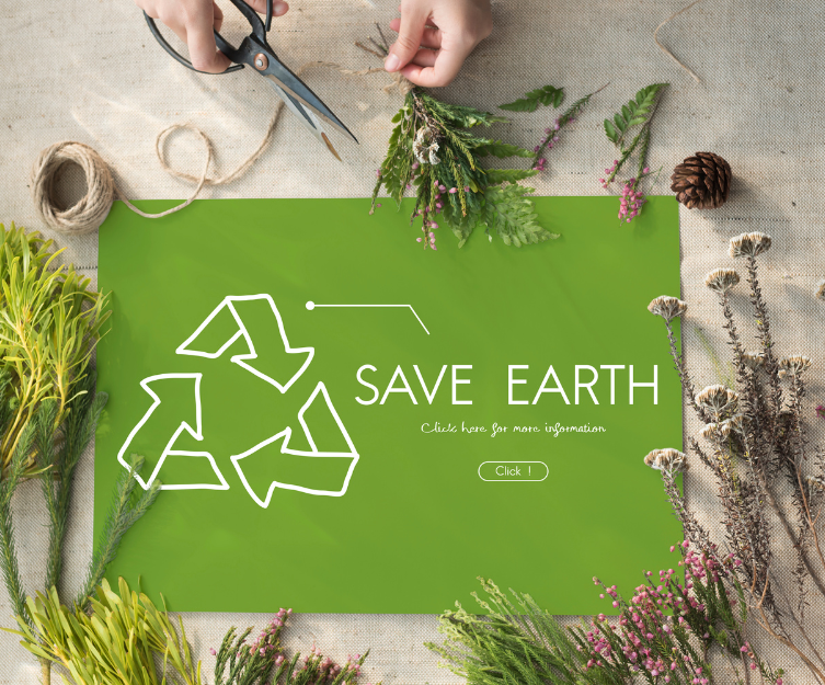 Holi Sorts Eco Branding